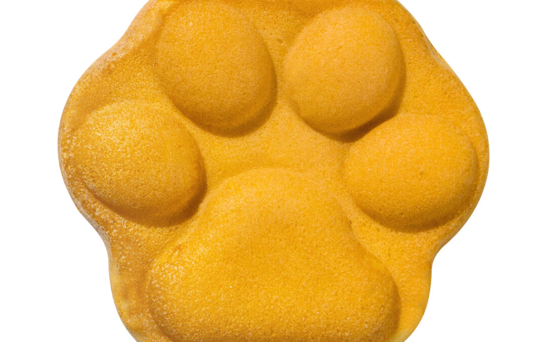 FUNCAKES ARE AWESOME